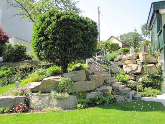 Grün - soweit das Auge reicht