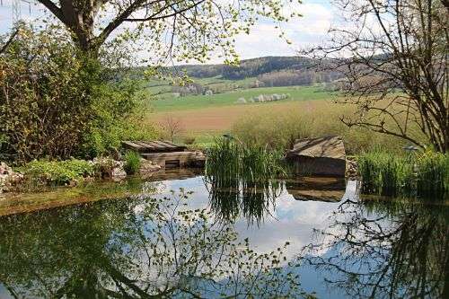 Blick aus dem Garten