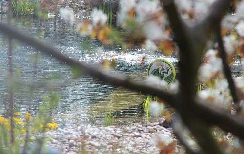 Am Teich